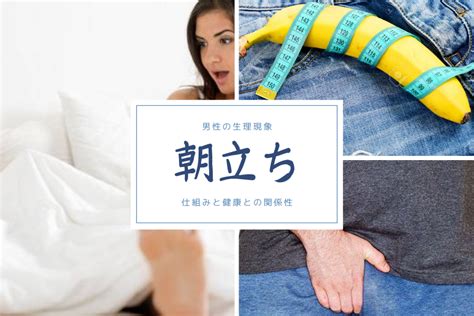 20代 朝立ちしない|男性が朝立ちする理由と原因・朝立ちしない原因と解。